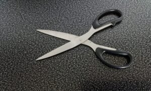 Read more about the article Fabric Scissors